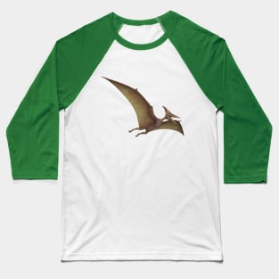 pterodactyl dinosaur pre historic reptile Baseball T-Shirt